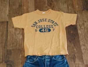 カレッジTシャツ例2